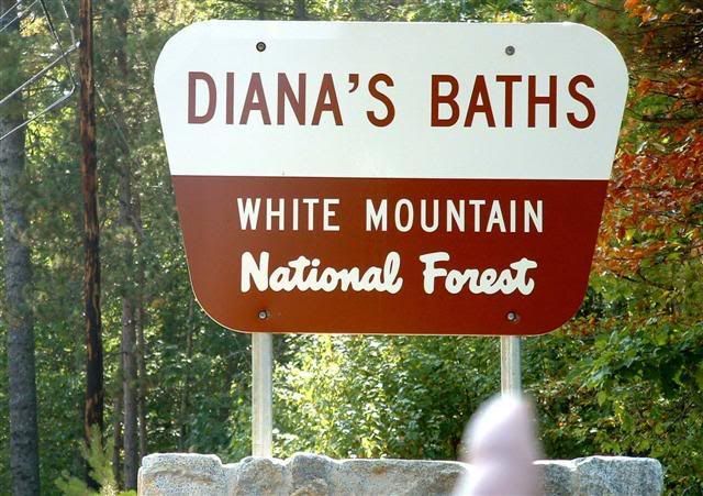 Dianna's Baths