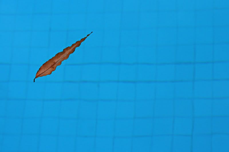 IMAGE: http://i49.photobucket.com/albums/f279/psinghdoc/IMG_4629.jpg