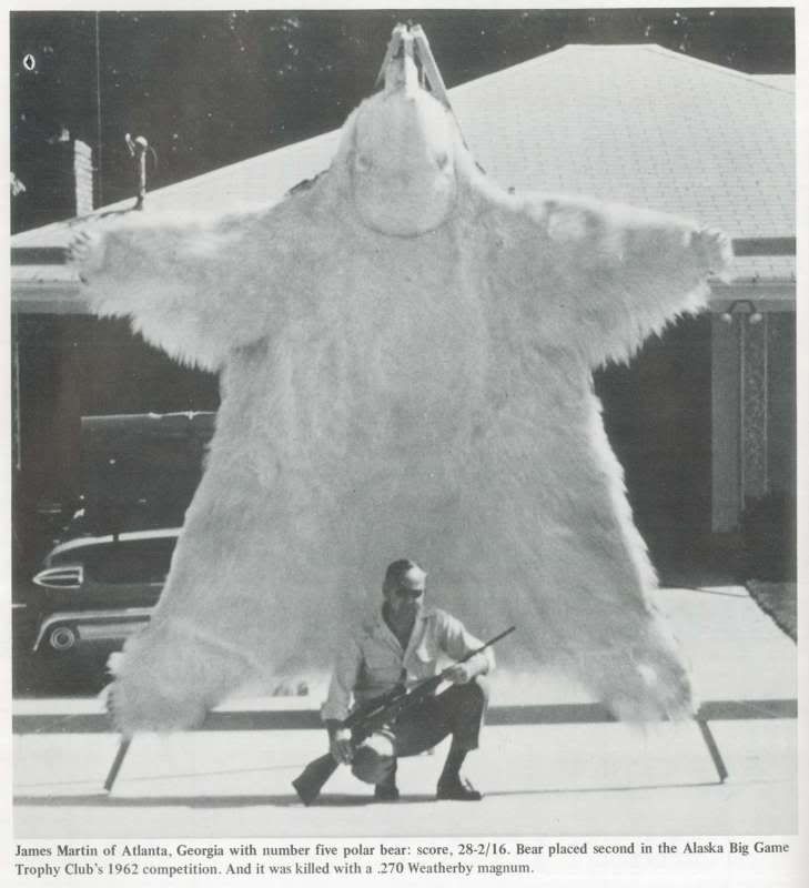 Copy2of2401Big-Polar-Bear.jpg