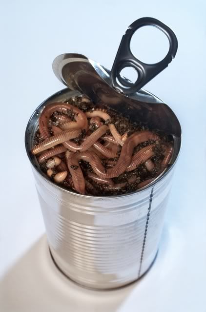 iStock_can20of20worms.jpg
