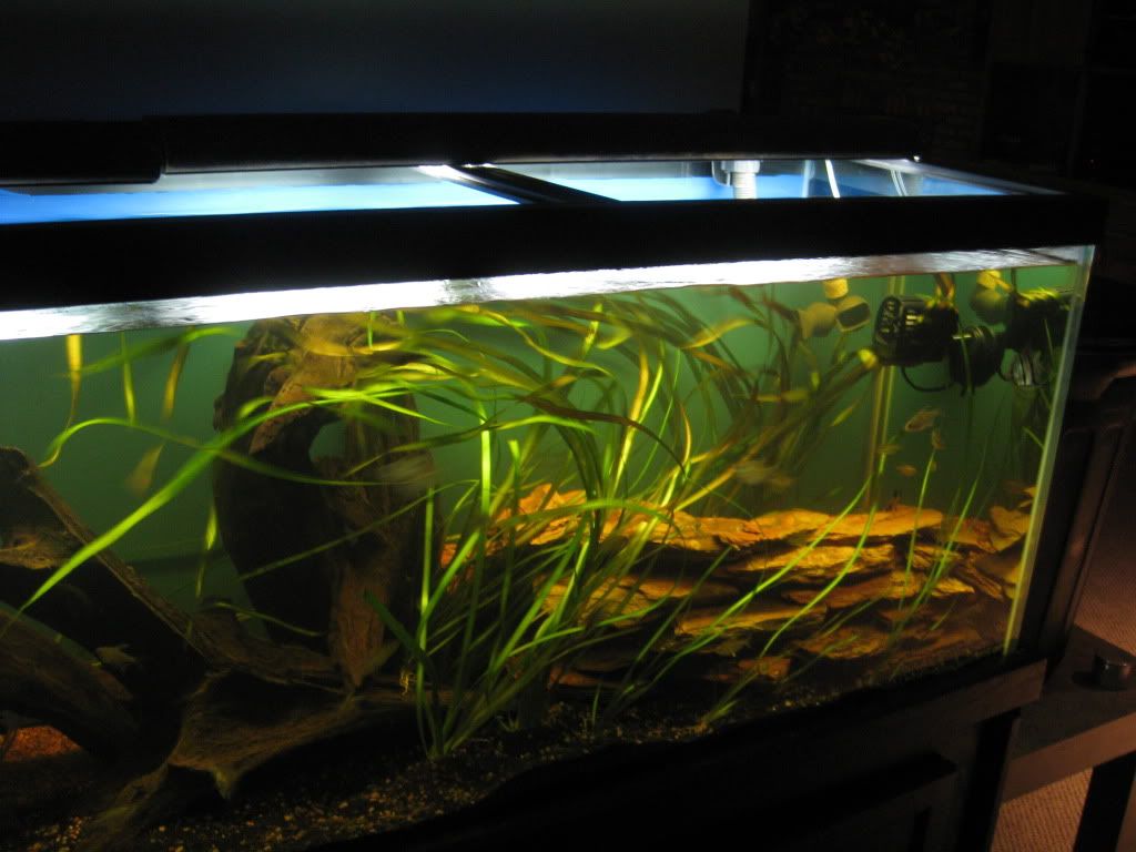 Aqueon Circulation pumps.....are awesome. The Planted Tank Forum