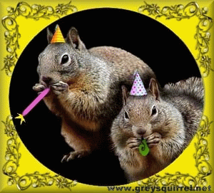 Image result for squirrel welcome  to the party gif