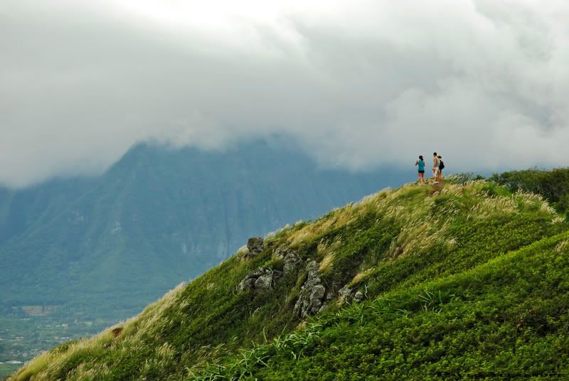 http://i49.photobucket.com/albums/f283/mrpaulo77/Hawaii%2009/lanikaibunkers1.jpg