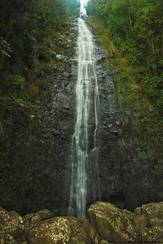 http://i49.photobucket.com/albums/f283/mrpaulo77/Hawaii%2009/manoafalls1.jpg