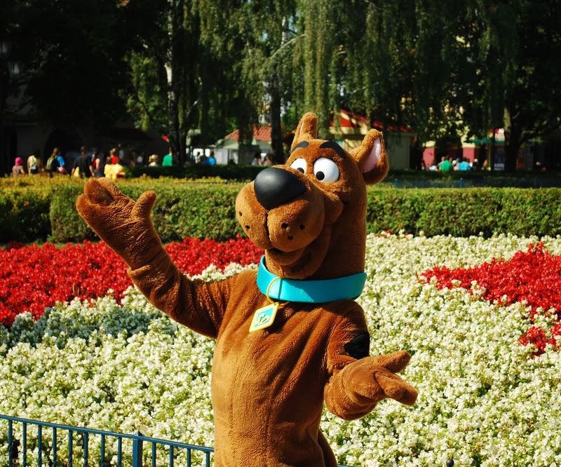 http://i49.photobucket.com/albums/f283/mrpaulo77/Toronto%20and%20Wonderland/Scooby.jpg