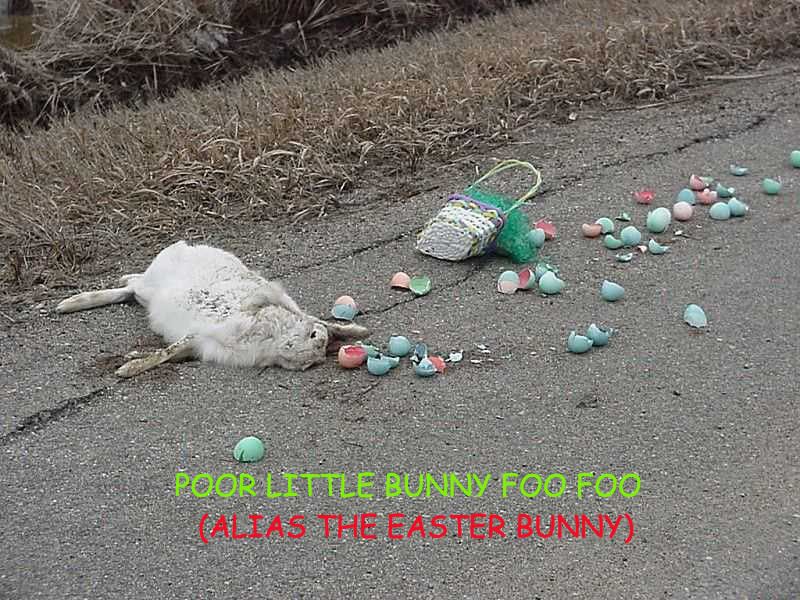 Kill bunny photo: Easter bunny EASTERBUNNY.jpg