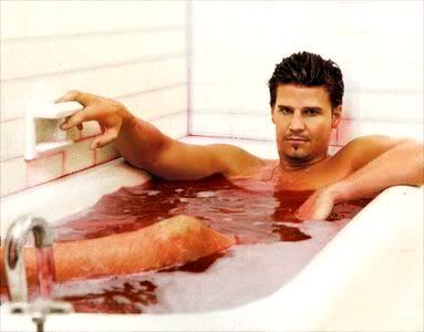 <img:http://i49.photobucket.com/albums/f284/B-rand-I/bm-david-boreanaz-02.jpg>