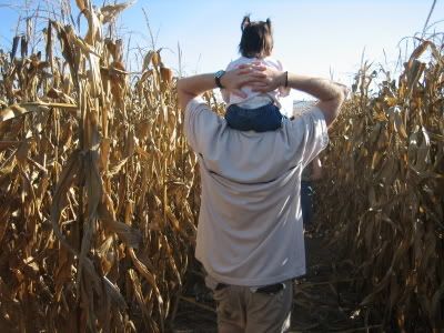 Lost in the corn maze and considering a path of our devising...