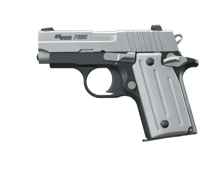 Sig P238 two-tone Pictures, Images and Photos