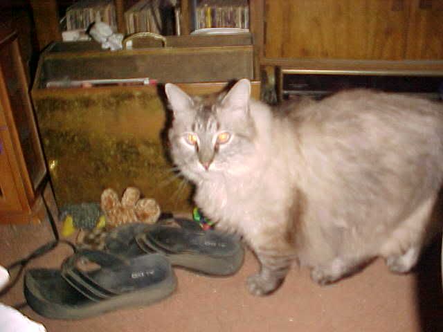 Photobucket