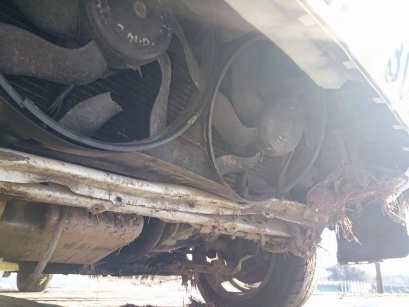 961658_893394274025516_1960597153_n_zps5