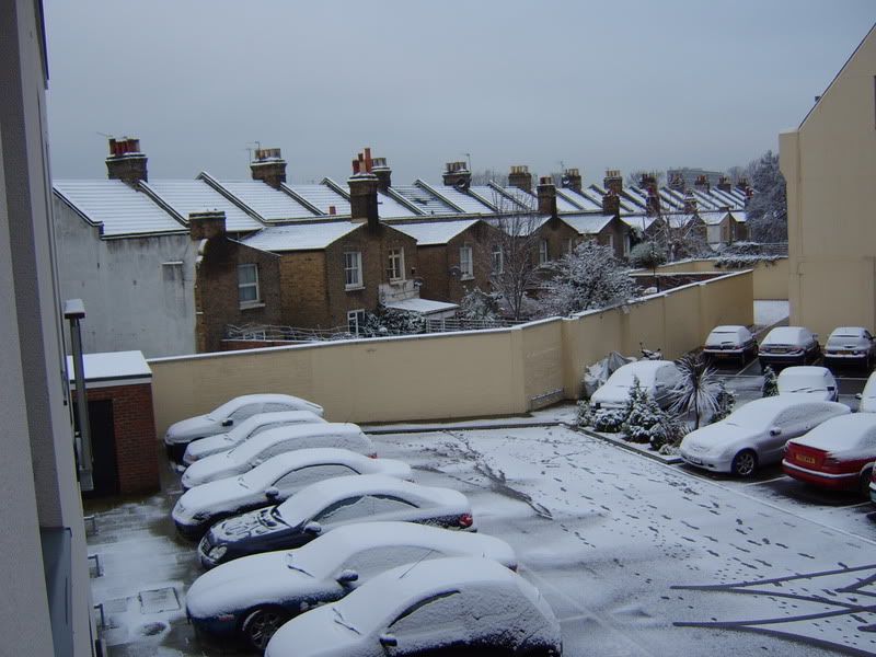 Snow1.jpg