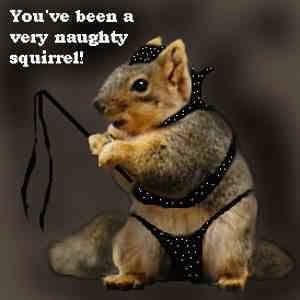 <img:http://i49.photobucket.com/albums/f287/ianwright8/naughty_squirrel.jpg>