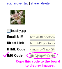 Image