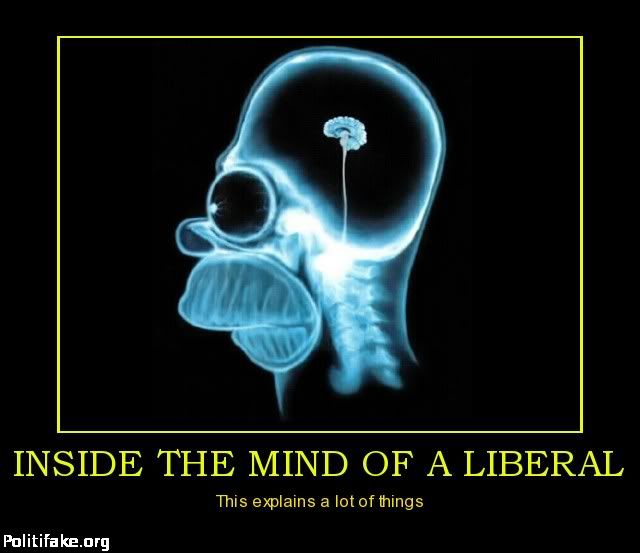 inside-the-mind-of-a-liberal-liberal-mind-politics-1335236697.jpg