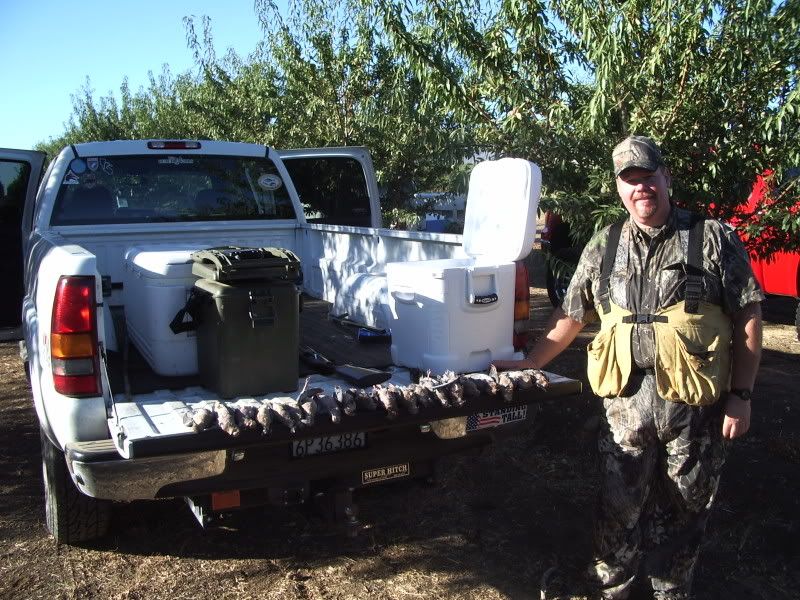 Saturday & Sunday Dove Report Duck Hunting Forum