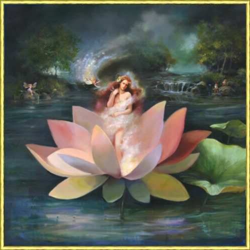 Lotus Fairy Pictures, Images and Photos