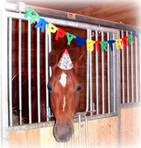 birthday2.jpg Birthday Horse image by KcHeck