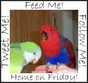 Feed Me! Tweet Me! Follow Me Home at a Moderate Life!