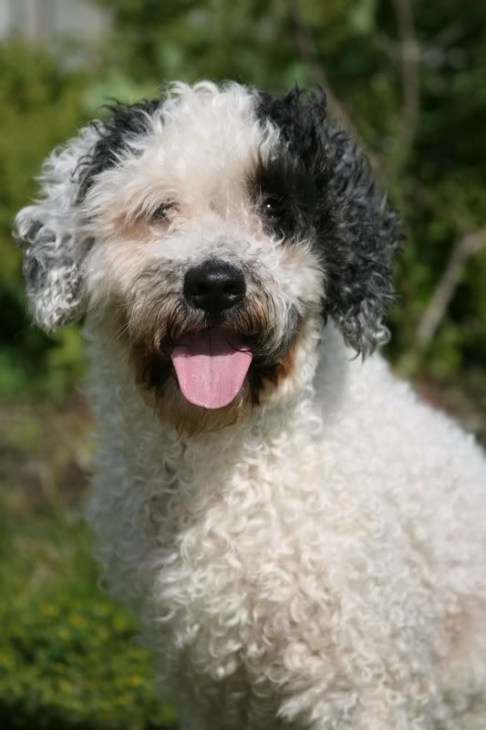 IMAGE: http://i49.photobucket.com/albums/f291/Briarlow/untitled.jpg