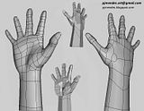 Hand (Wings 3D)