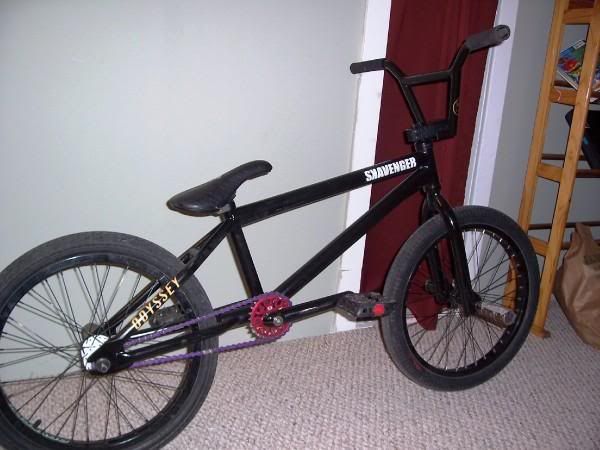 bmx2.jpg