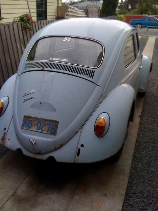 http://i49.photobucket.com/albums/f293/Zedder300/MyBug.jpg