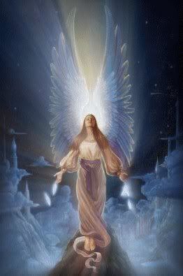 angel2.jpg