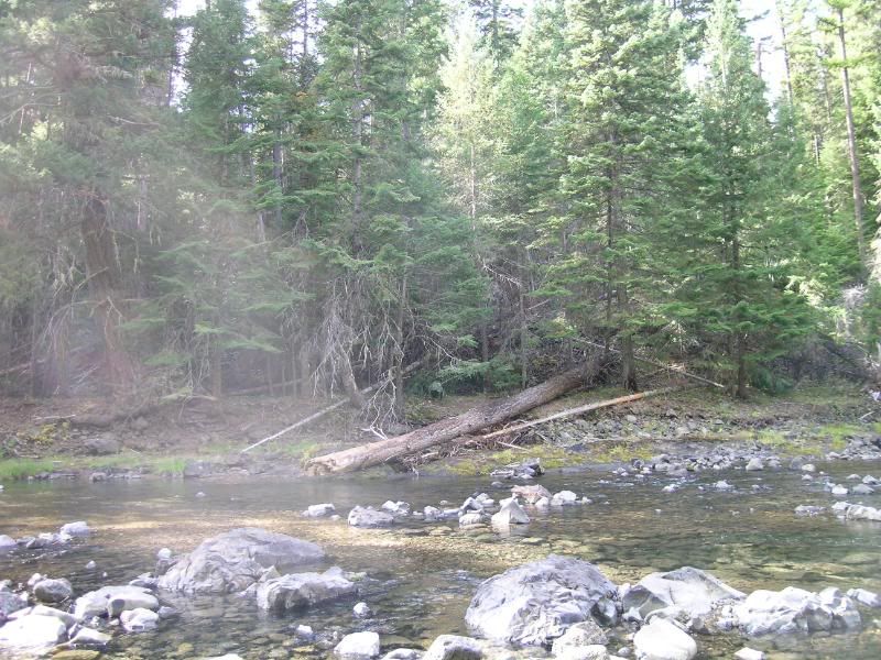 DSCN1693.jpg