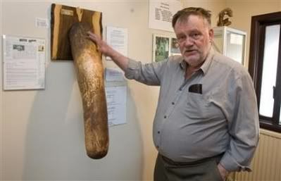 iceland penis museum Pictures, Images and Photos