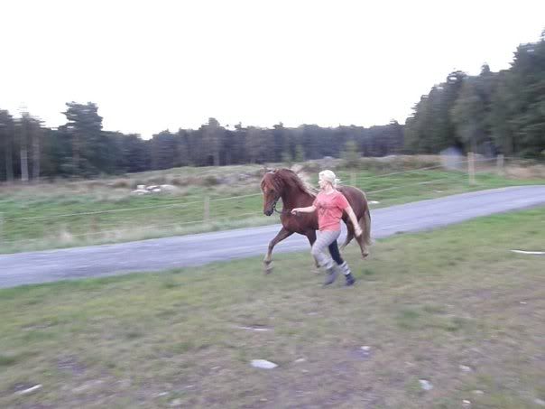 7529_123031391294_750906294_2508971.jpg