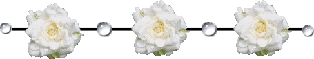 t5fw55.gif white gardenia image by kakecreator