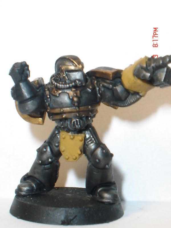 user posted image