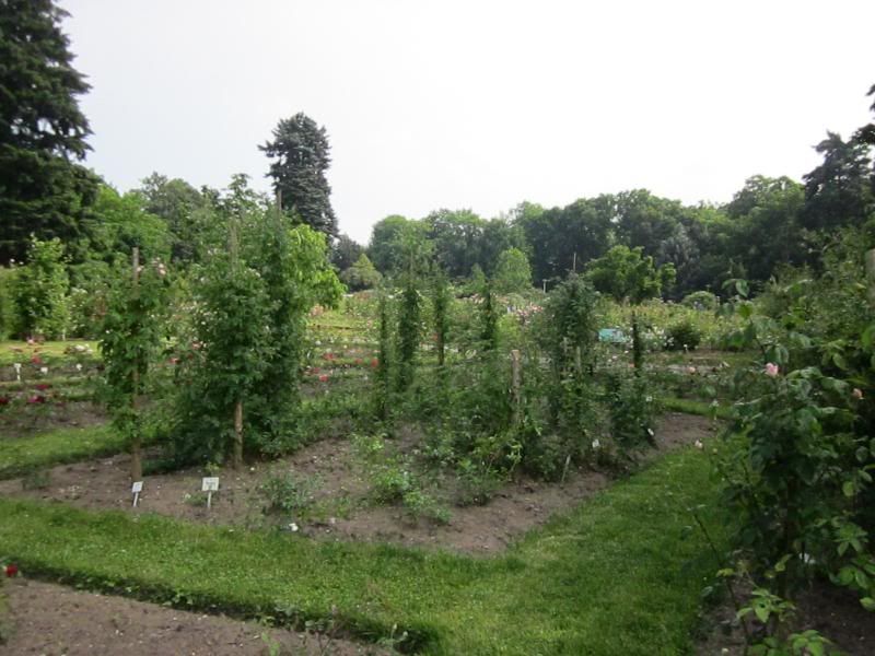  photo IMG_0818_zps1bee1ef4.jpg