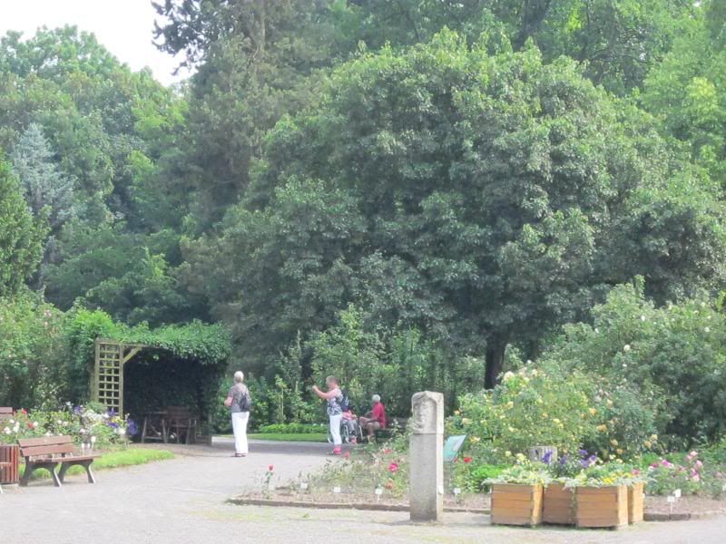 Rosarium at Sangerhausen photo IMG_0820_zps236b74de.jpg