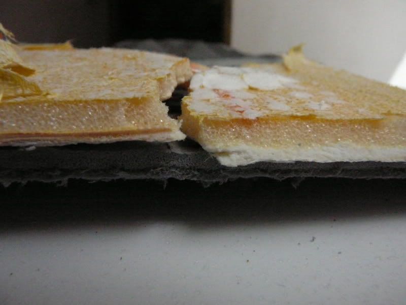P1010225.jpg