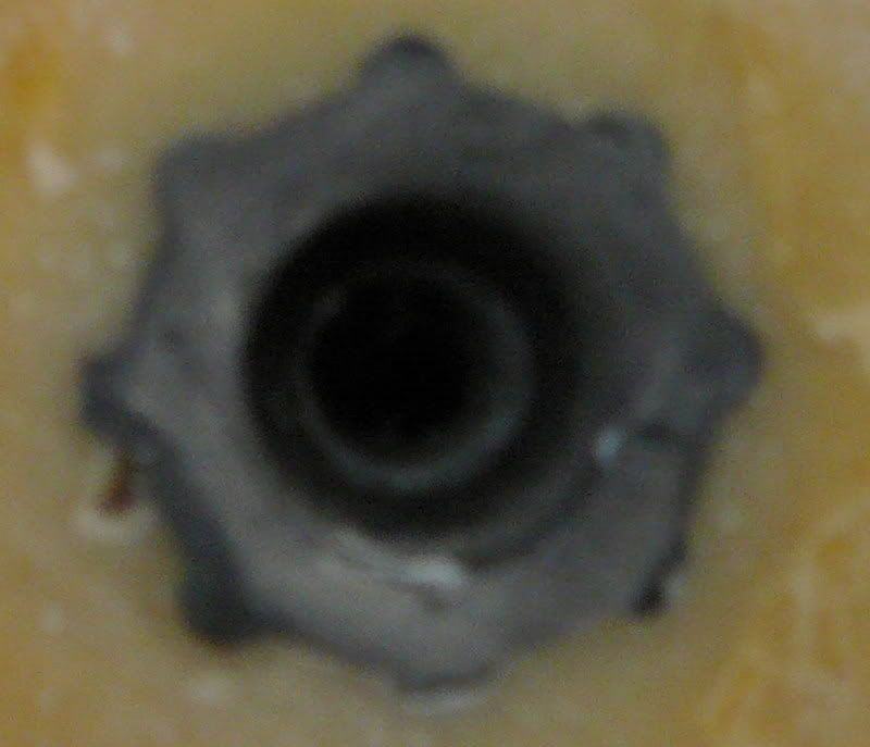 P1010493_Recorte.jpg