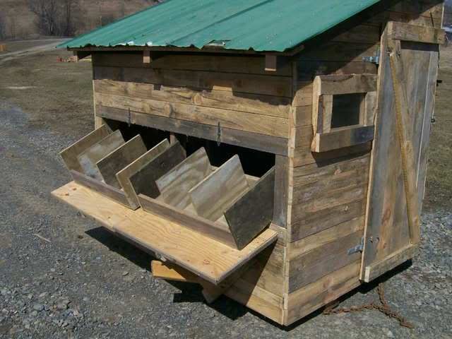 chicken house nests