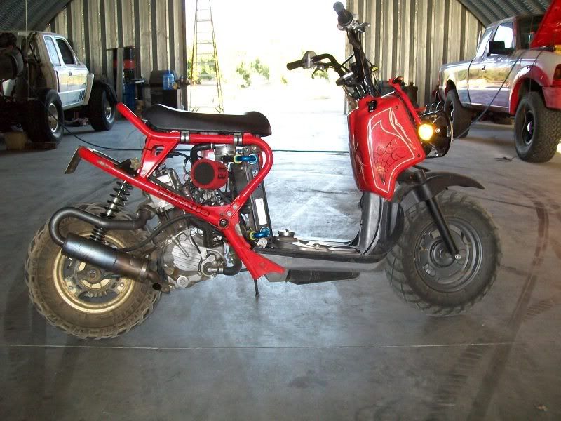 Honda elite 250 ruckus