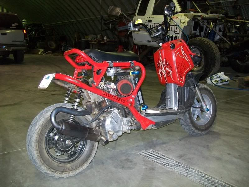 Honda elite 250 ruckus #5