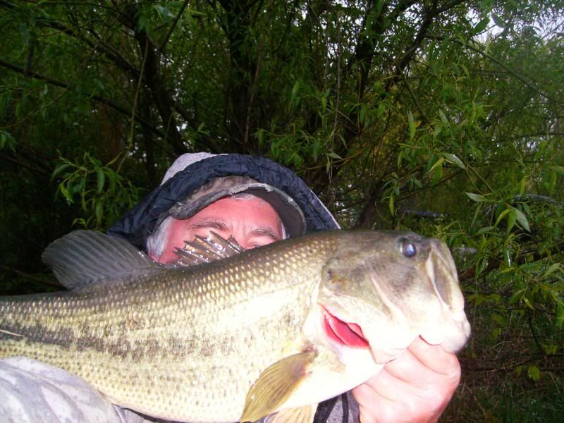 Wind Rain Cold Chaterbait Wind Rain Cold Chaterbait