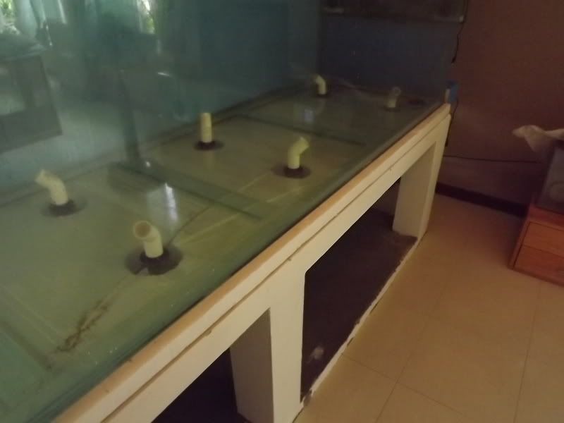 DSCF0699.jpg