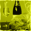 40a.gif