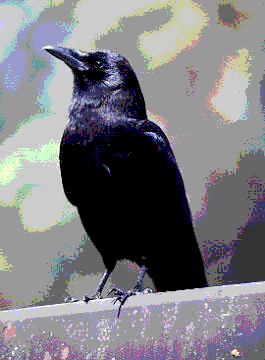 Image hosting by Photobucket
