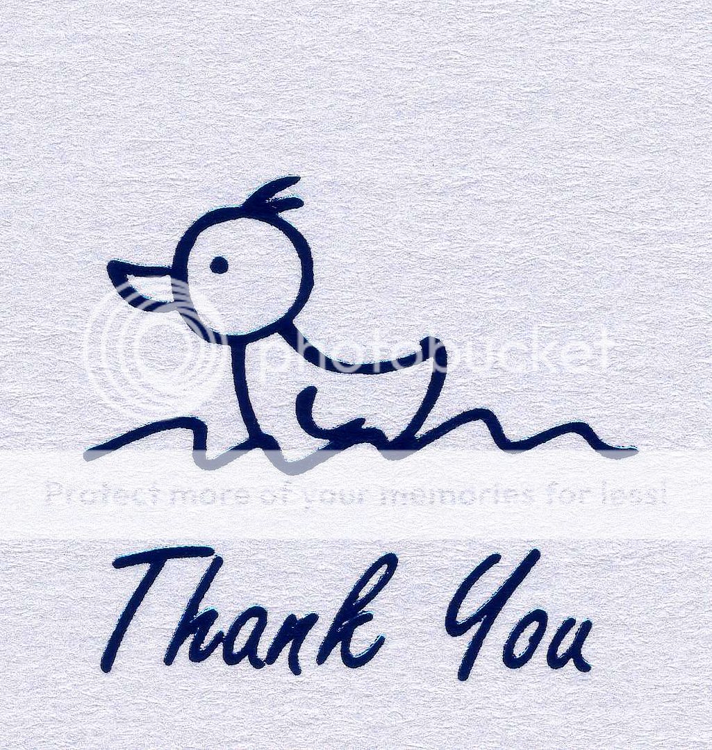10 BABY THANK YOU CARDS and ENVELOPES   DUCK   BLUE  