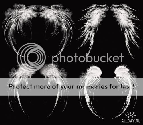 http://i49.photobucket.com/albums/f256/Dimitra1978/sait/1194079240_angel_wings_brushes.jpg