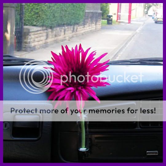 Gerbera Flower with Without Car Vase Beetle Daisy Style