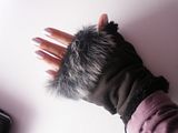 th_P1050021.jpg