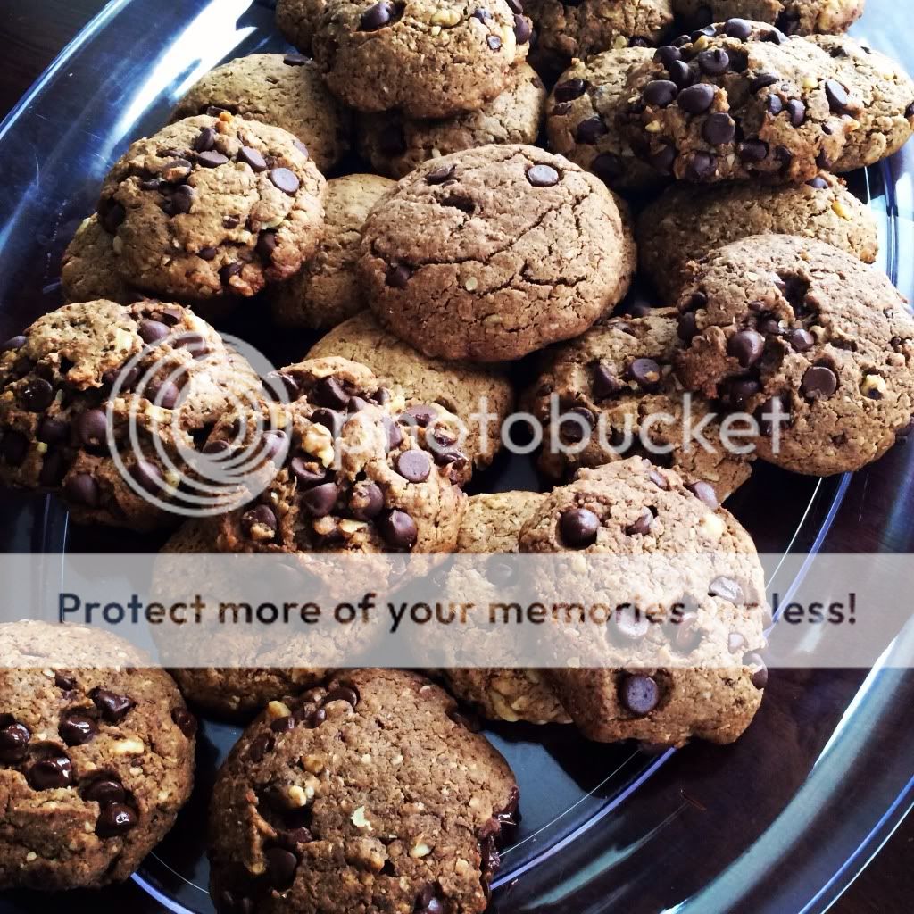 chocolate chip lactation cookies