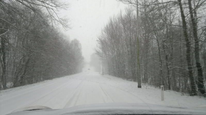 03022012483.jpg